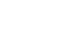 VIRTUAL DEALER